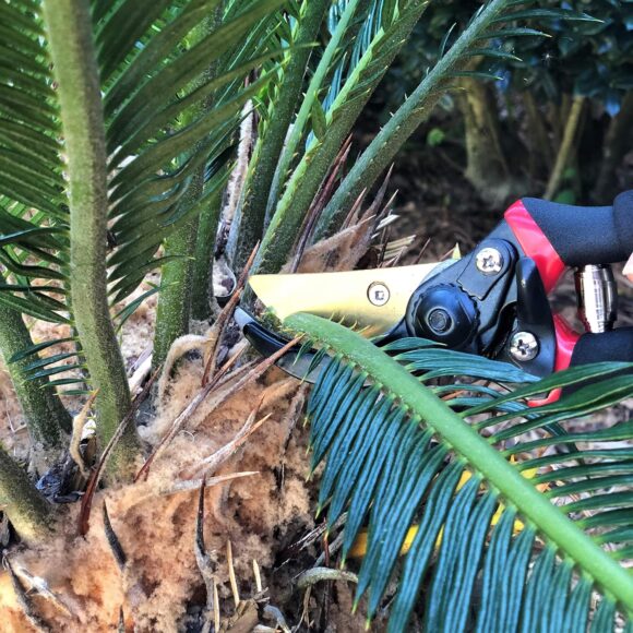 8-Inch Professional Pruning Shears for Garden Cutting | Non-Slip Handles, Sharp Blades, Safe Locking Mechanism - Image 2