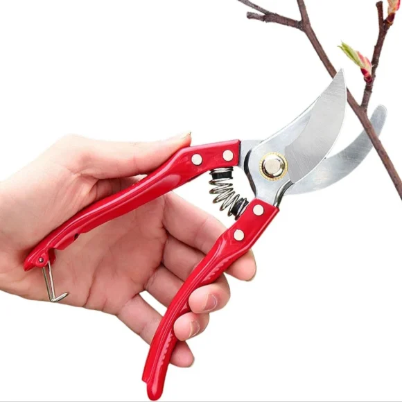 Flowers Cutter-Hand Pruner Plant Branches Cutter Professional Tree Trimmer Pruning Shears, Hand Pruner - Image 2