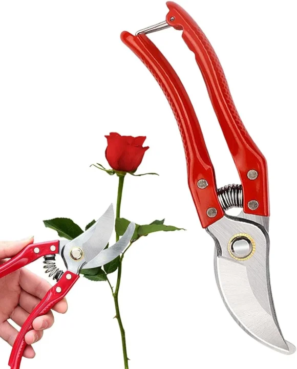 Flowers Cutter-Hand Pruner Plant Branches Cutter Professional Tree Trimmer Pruning Shears, Hand Pruner - Image 3