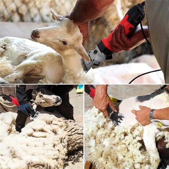 Sheep Shears 850W, Professional Electric Sheep Clippers. - Image 4