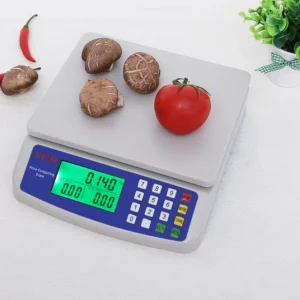 DT580 30kg digital weighing scale LCD Electronic Mini personal electronic digital scale